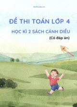 Bộ 11 Đề thi Toán lớp 4 học kì 2 Cánh diều (Có đáp án)